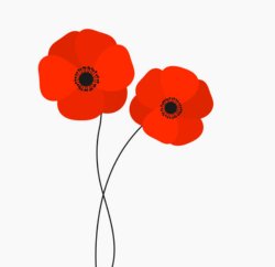 Poppy Pic